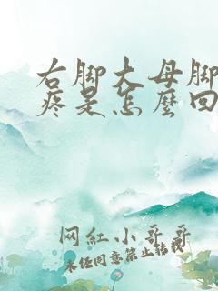 右脚大母脚趾头疼是怎么回事