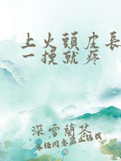 上火头皮长疙瘩一摸就疼