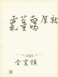 舌苔白厚就是湿气重吗