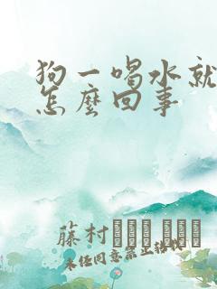 狗一喝水就吐是怎么回事