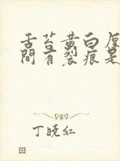 舌苔黄白厚腻中间有裂痕是什么原因?