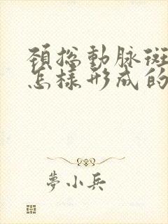 颈总动脉斑块是怎样形成的