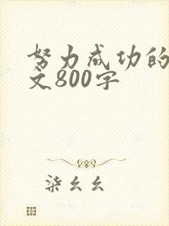 努力成功的议论文800字