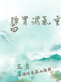 脾胃湿气重舌苔白