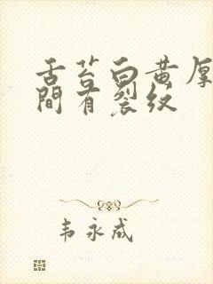 舌苔白黄厚腻中间有裂纹