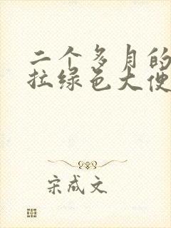 二个多月的宝宝拉绿色大便怎么回事