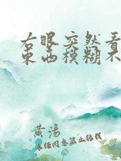 右眼突然看不清东西模糊不清