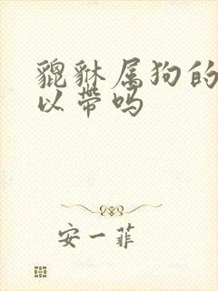 貔貅属狗的人可以带吗