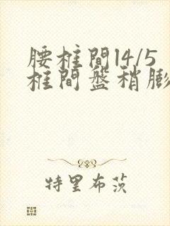 腰椎间l4/5椎间盘稍膨出