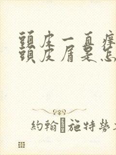 头皮一直痒还有头皮屑是怎么回事