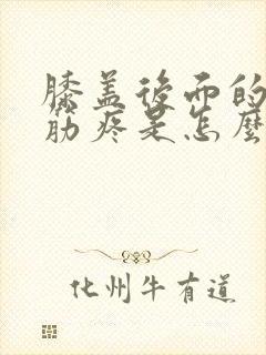 膝盖后面的腿弯筋疼是怎么回事