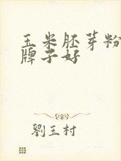 玉米胚芽粉哪个牌子好