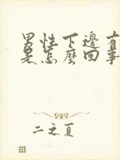 男性下边有异味是怎么回事