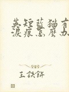 英短蓝猫有眼屎泪痕怎么办