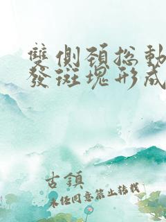 双侧颈总动脉多发斑块形成