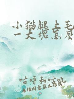 小猫腿上毛掉了一大块怎么回事