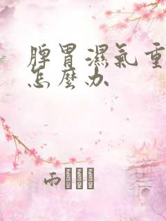 脾胃湿气重火大怎么办