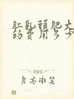 肛乳头肥大手术的费用多少