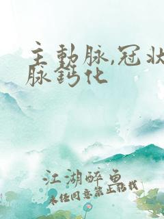 主动脉,冠状动脉钙化