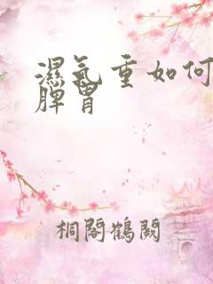 湿气重如何调理脾胃