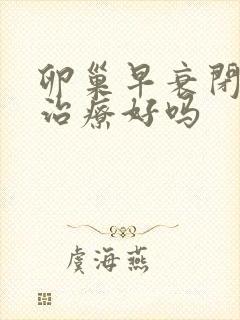 卵巢早衰闭经能治疗好吗