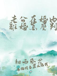 老公在婚内出轨离婚怎么判