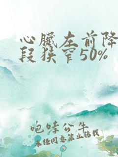 心脏左前降支中段狭窄50%