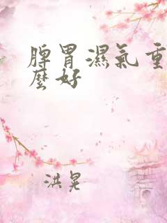 脾胃湿气重喝什么好