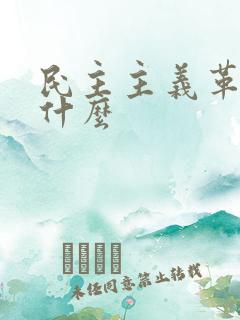 民主主义革命是什么