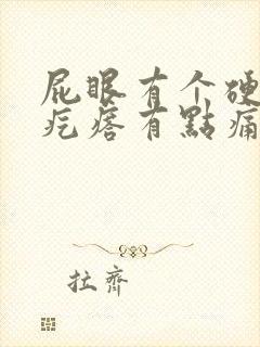 屁眼有个硬硬的疙瘩有点痛