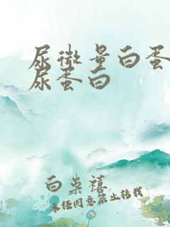 尿微量白蛋白和尿蛋白