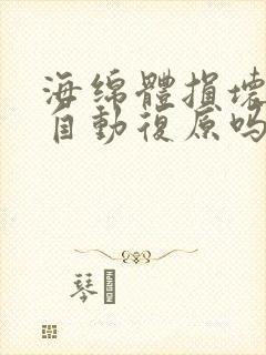 海绵体损坏还能自动复原吗