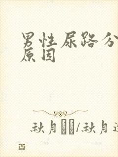 男性尿路分叉的原因