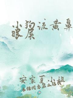 小狗流黄鼻涕有眼屎