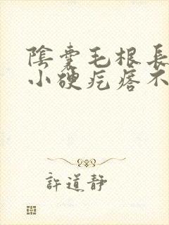 阴囊毛根长了个小硬疙瘩不疼不痒