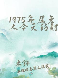 1975年属兔人今天的财运如何