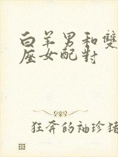 白羊男和双子星座女配对