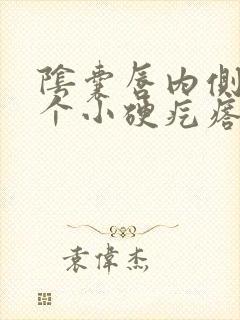 阴囊唇内侧长了个小硬疙瘩是怎么回事