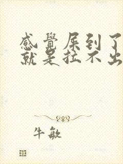 感觉屎到了肛门就是拉不出来怎么回事