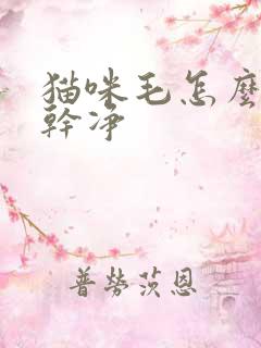 猫咪毛怎么处理干净