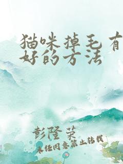 猫咪掉毛有没有好的方法