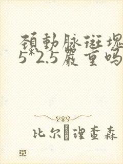 颈动脉斑块9.5*2.5严重吗