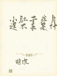 小肚子疼月经迟迟不来是什么原因