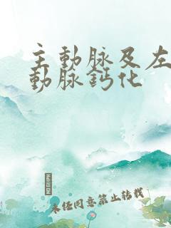 主动脉及左冠状动脉钙化