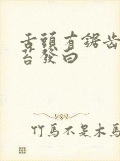 舌头有锯齿状舌苔发白