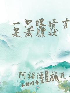 一只眼睛有眼屎是黄脓状