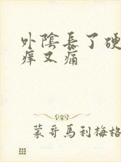 外阴长了硬疙瘩痒又痛