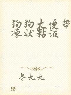 狗狗大便带有果冻状粘液