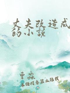 丈夫改造成妻子的小说