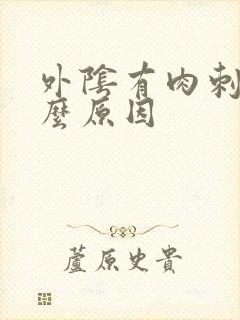 外阴有肉刺是什么原因